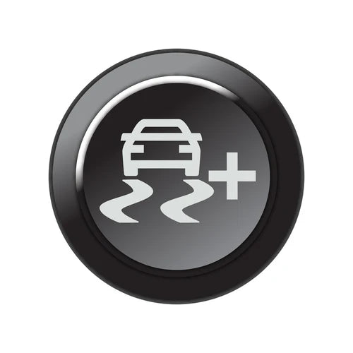 CAN keypad insert traction control increase available at Autech Store Auckland ECU control button for motorsport keypad system and performance adjustment control